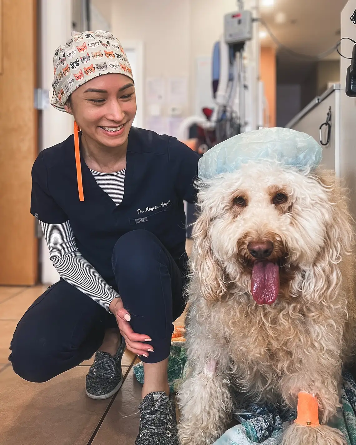 A doctor sitting with a white mixed breed Doodle wearing a surgery cap